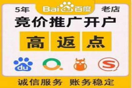 科技公司SEM优化师的日常与挑战——以某科技巨头为例